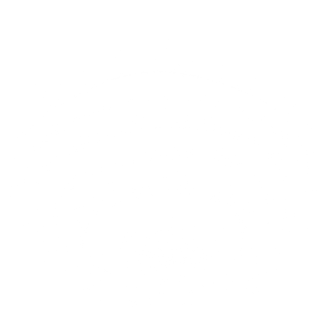 white gradient shadow